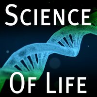 Microscopic Life - Thom Powell & Jez Hurst