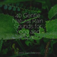 Ocean, Shore, Sparrows - Relaxing Mindfulness Meditation Relaxation Maestro & Nature Sounds Artists & Naturaleza Relajacion
