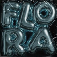 Flora - STS-51L & want to die
