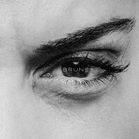 À l'abri - Brune