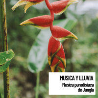 Relaxing Natural Waterfall Noise - Música para Leer & Musica Para Niños & Musica relajante