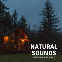 Cold Soil - Nature Sounds Nature Music & Nature Recordings & Nature Vibrations