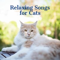 Relaxing Songs for Cats - Jazz Music for Cats