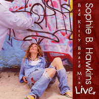 Did We Not Choose Each Other - Sophie B. Hawkins