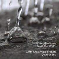 In All The Worlds: II. Movement 2 - Garth Knox & Quatuor Béla