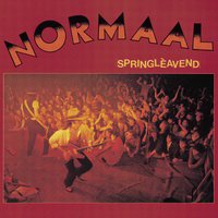 Hendrik Haverkamp - Normaal