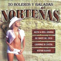 Nomás Por Tu Culpa - Enigma Norteño & Furia Tejana