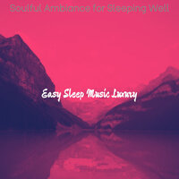 Spacious Moods for Naps - Easy Sleep Music Luxury