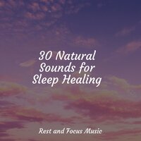 Dreams - Trouble Sleeping Music Universe & Meditação Maestro & Spa & Spa
