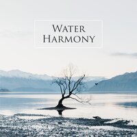 The Secret of Peace - Calming Water Consort