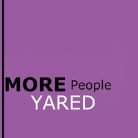 Elettronic System - Yared