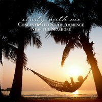 Concentrated Study Ambience Near the Seashore, Pt. 20 - Sebastian Riegl