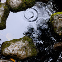 Wet Weather Day - Sleeping Music Experience & Spa & Study Alpha Waves