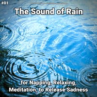 Unwinding Meditation for Sleep - Rain for Deep Sleep & Rain Sounds & Nature Sounds