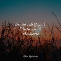 Orgullo - Mantra para Dormir & Ioga & Relaxar Meditação Clube