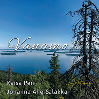 Hyvää, hyvää iltaa - Antaisin.fi & Kaisa Peni & Johanna Aho-Salakka