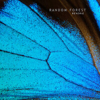 Silent Horizons - Random Forest