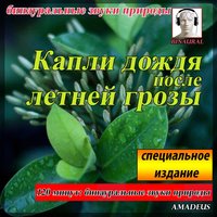 бинауральные звуки природы: Лес в полночь с ручей и отдаленного грома - Amadeus