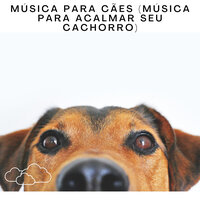 Música Para Cães (Música Para Acalmar Seu Cachorro), Pt. 127 - Serene Rose