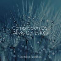 Trópicos Sin Fin - Meditación Maestro & Relajante Academia de Música Zen & Música Relajante para Bebés