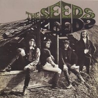 Fallin' in Love - The Seeds