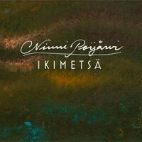 Kimallus - Ninni Poijärvi