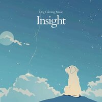 Seaweed - Dog Calming Music