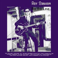 I'll Say It's My Fault - Roy Orbison