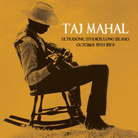 Johnny Too Bad - Taj Mahal
