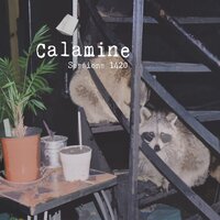 Grosse gouine rabat-joie - Calamine
