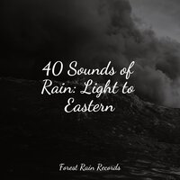 Water, Small, Creek, Close - Nature Soundscape & Sleep Music System & The Relaxing Sounds of Swedish Nature
