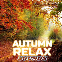 Sunny Autumn Forest Lake - Autumn Relax Sounds & The Sounds of Nature & Autumn for Sleep & Lake Sounds & Forest Sounds & Nature Essentials