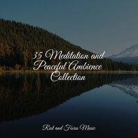 Warmth of Quiet - Ambiente & Entspannungsmusik Meer & Deep Sleep Music Experience