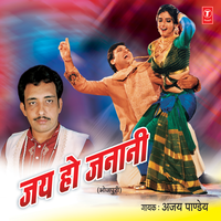 Aava Tani Sasurari Mein - Ajay Pandey