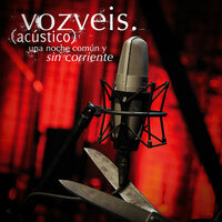 Segundo Plato - Voz Veis