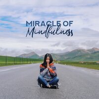 In Your Imagination - Healing Meditation Zone