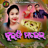 Kulfi Malei - Santanu Sahu & Sital Sahu