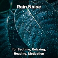 Rain Noise for Relaxing and Reading Pt. 58 - Nature Sounds & Rain Sounds & Regengeräusche
