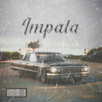Impala - Bowie