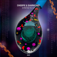 Moon In The Window - Choopie & Sharkieboy