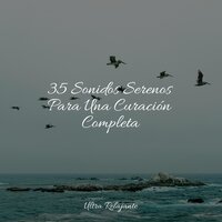Río De Los Sueños - Academia de Meditação Buddha & Música Relajante para Bebés & Meditacion Budista Maestros