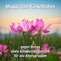 Zarte Atmosphäre - Ruhige Musik by Vera Droys & Relaxing Spa Music & Entspannungsmusik