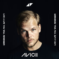 Hey Brother - Avicii