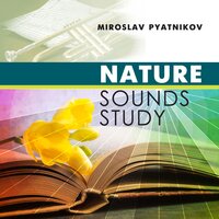 Waterfall River - Miroslav Pyatnikov