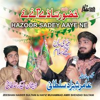 Sakhi Lajpal Hussain - Zeeshan Haider Sultani