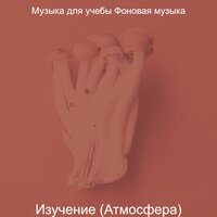 Созерцая (Исследования) - Музыка для учёбы
