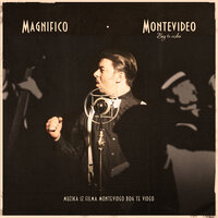 Tango Mango - Magnifico