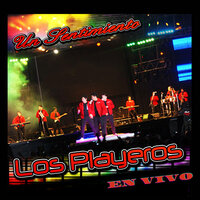 Mi Vida Eres Tú - Los Playeros