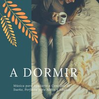 Conciliar el Sueño - Sueño Real