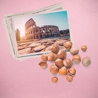 Roma nocciola - Lipa